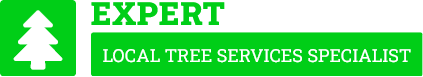 Manawatu Tree Cutting - Tree Removal Manawatu
